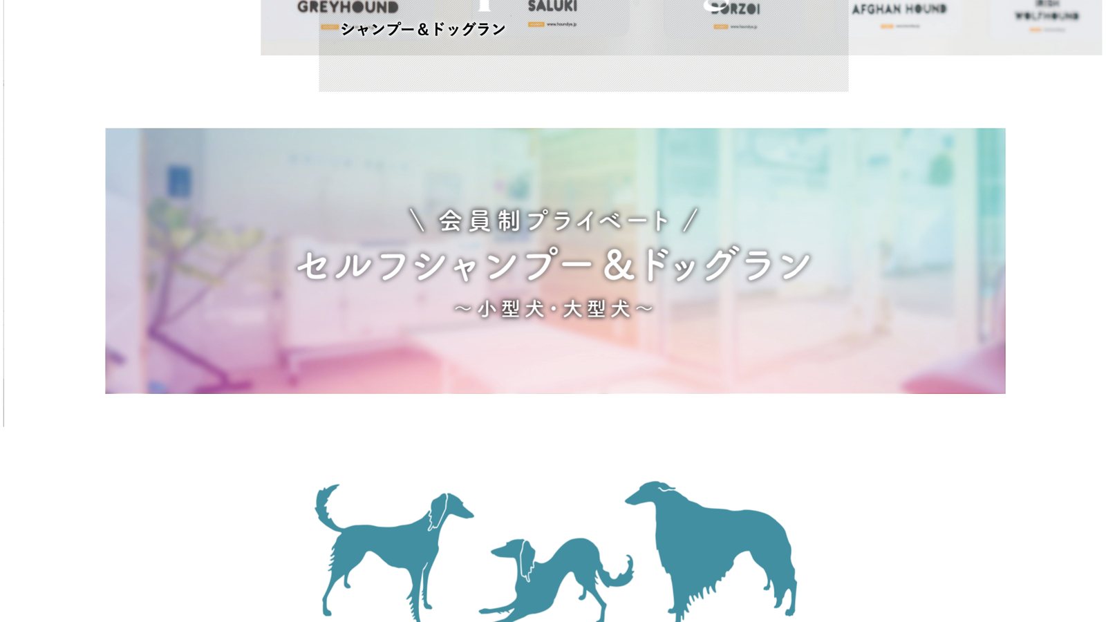 セルフシャンプー＆ドッグラン 施設案内